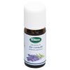 ätherisches BIO-Öl Lavendel - 10 ml